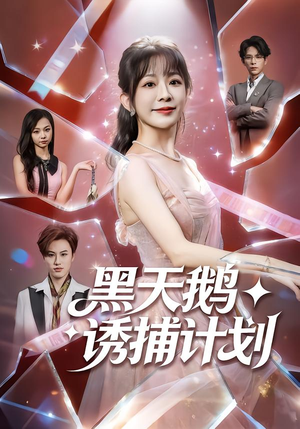 黑天鹅诱捕计划（81集）越看越好看短剧