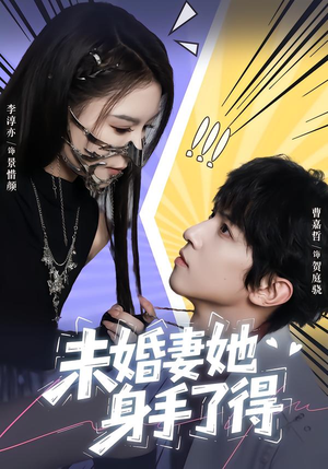 未婚妻她身手了得（50集）全集免费观看