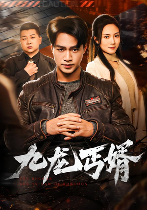 九龙丐婿（81集）在哪个app能看