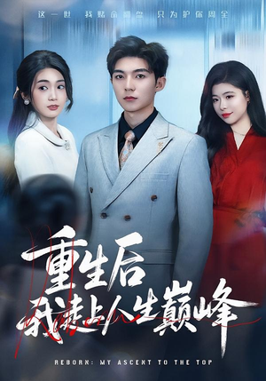 重生后我走上人生巅峰(80集) 重生后我走上人生巅峰(80集)火爆短剧推荐