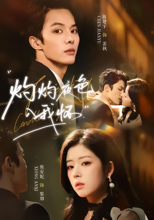 灼灼夜色入我怀（60集）短剧太上头了