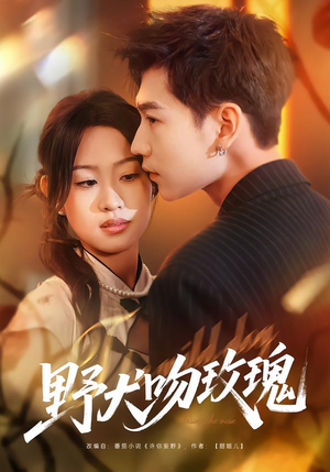 野犬吻玫瑰（70集）最后一集