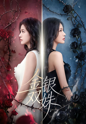 金银双姝(80集) 金银双姝(80集)短剧更新抢先看