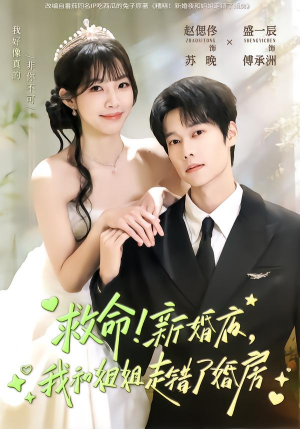 救命!新婚夜,我和姐姐走错了婚房(58集) 救命!新婚夜,我和姐姐走错了婚房(58集)精彩短剧随心推