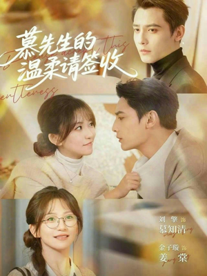 慕先生的温柔请签收（90集）在线观看