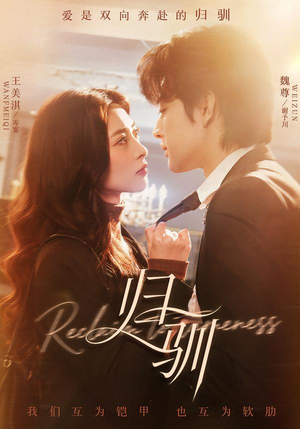 归驯（82集）热门短剧推广