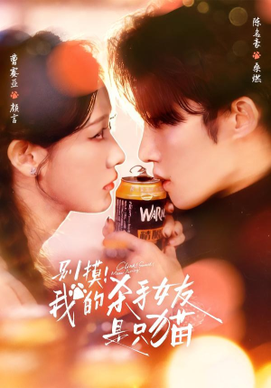 别摸！我的杀手女友是只猫（60集）解说文案