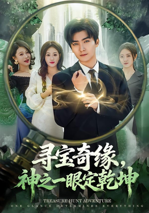 寻宝奇缘，神之一眼定乾坤（80集）全部免费看全集