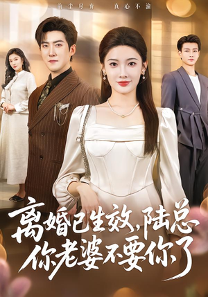 离婚已生效,陆总你老婆不要你了(61集) 离婚已生效,陆总你老婆不要你了(61集)集免费看短剧