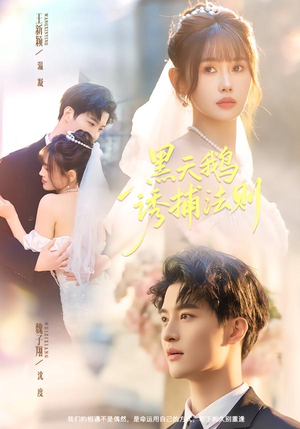 黑天鹅诱捕法册（80集）男主角是谁