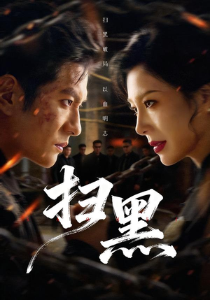 扫黑(70集) 扫黑(70集)全集免费观看