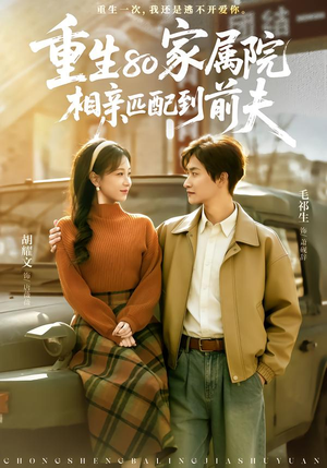 重生80家属院，相亲匹配到前夫（77集）追短剧看全集