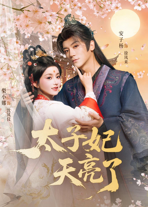 太子妃天亮了(80集) 太子妃天亮了(80集)短剧太精彩了