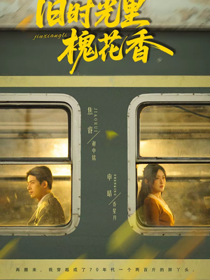 旧时光里槐花香（70集）全集在线看