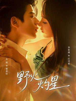 野火灼星（56集）哪个短剧网能看