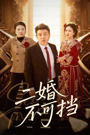 二婚不可挡（36集）在哪里可以全集
