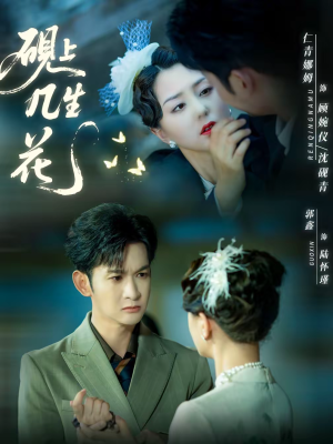 砚上几生花(62集) 砚上几生花(62集)免费看全集