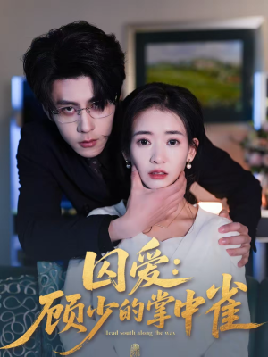 囚爱:顾少的掌中雀(70集) 囚爱:顾少的掌中雀(70集)全集下载