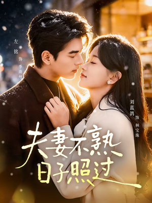 夫妻不熟，日子照过（80集）短剧解说热门