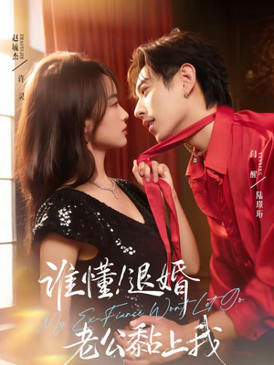 谁懂！退婚老公黏上我（64集）短剧