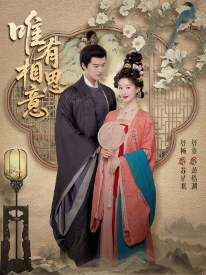 唯有相思意（100集）短剧推荐上热门