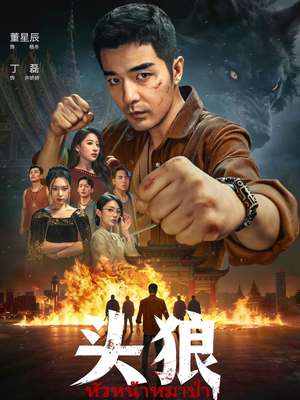 头狼（77集）短剧在线观看