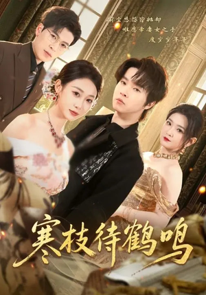 寒枝待鹤鸣（70集）短剧有好货推荐