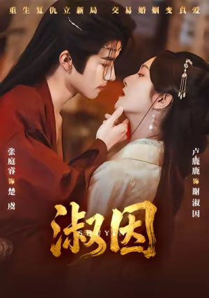 淑因（65集）短剧热播推荐