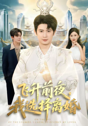 飞升前夜，我选择离婚（80集）80到100集
