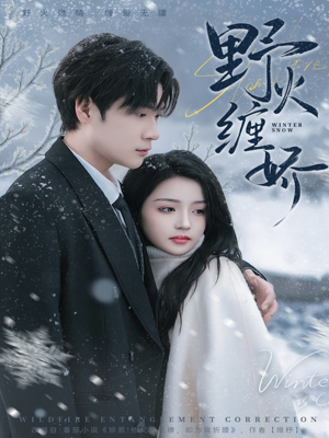 野火缠娇（66集）最新上映的短剧