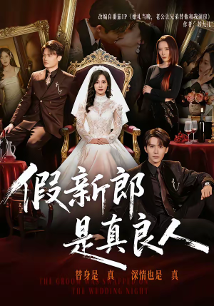 假新郎是真良人（67集）免费短剧合集