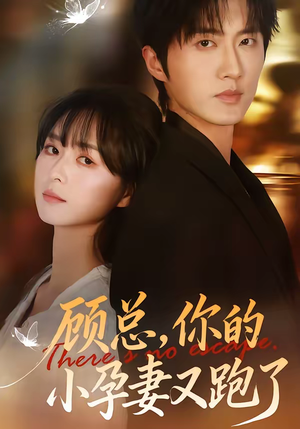 顾总，你的小孕妻又跑了（47集）观看软件