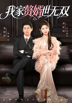 我家赘婿世无双（73集）红果免费看短剧