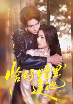 恰好暗里逢他（66集）一口气看完全集