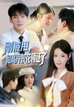 刚被甩，和高冷校花领证了（67集）全集完整版