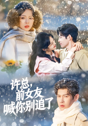 许总，前女友喊你别追了（80集）在哪里看