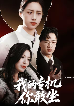 我的专机你敢坐(62集) 我的专机你敢坐(62集)免费版