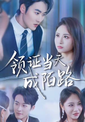 领证当天成陌路(39集) 领证当天成陌路(39集)在线免费观看