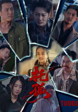 托孤（65集）热门短剧看不停