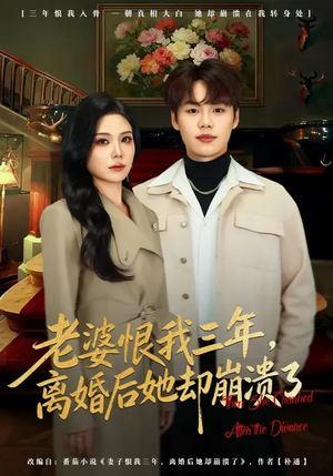 老婆恨我三年，离婚后她却崩溃了（80集）好看到停不下来