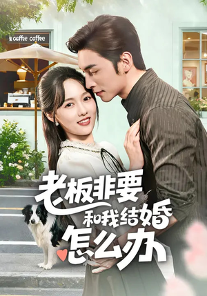 老板非要和我结婚怎么办（50集）每天分享短剧