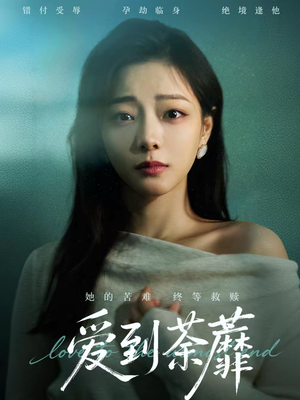 爱到荼蘼（63集）热门短剧抢先看