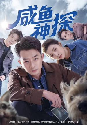 咸鱼神探（80集）全集