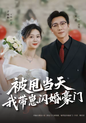 被甩当天我带崽闪婚豪门（70集）流畅播放免费看