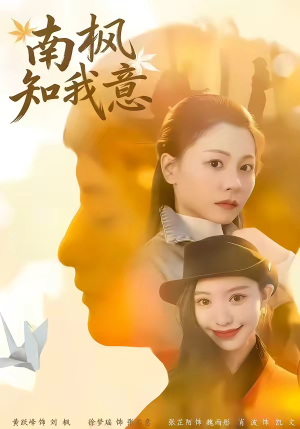 南枫知我意（41集）甜宠短剧推荐