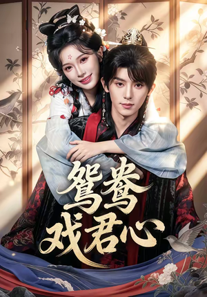 鸳鸯戏君心（60集）热门短剧大全