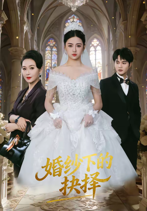婚纱下的抉择(60集) 婚纱下的抉择(60集)无需会员免费看