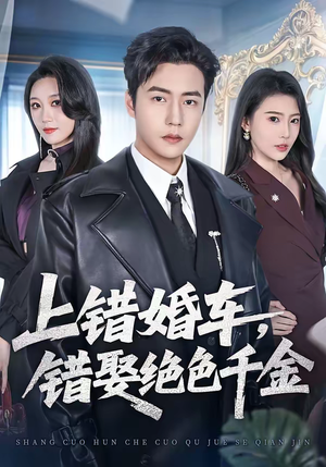 上错婚车，错娶绝色千金（80集）短剧热门推荐