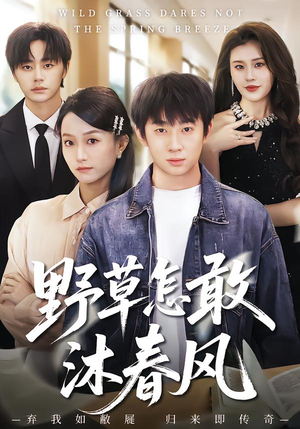 野草怎敢沐春风（61集）每天分享短剧