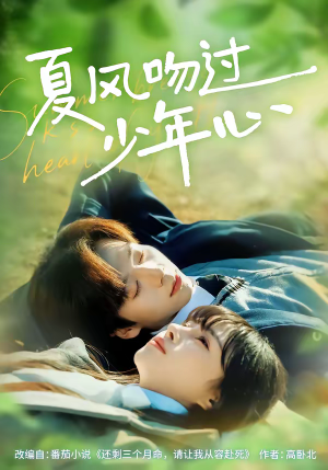 夏风吻过少年心(76集) 夏风吻过少年心(76集)短剧在线观看